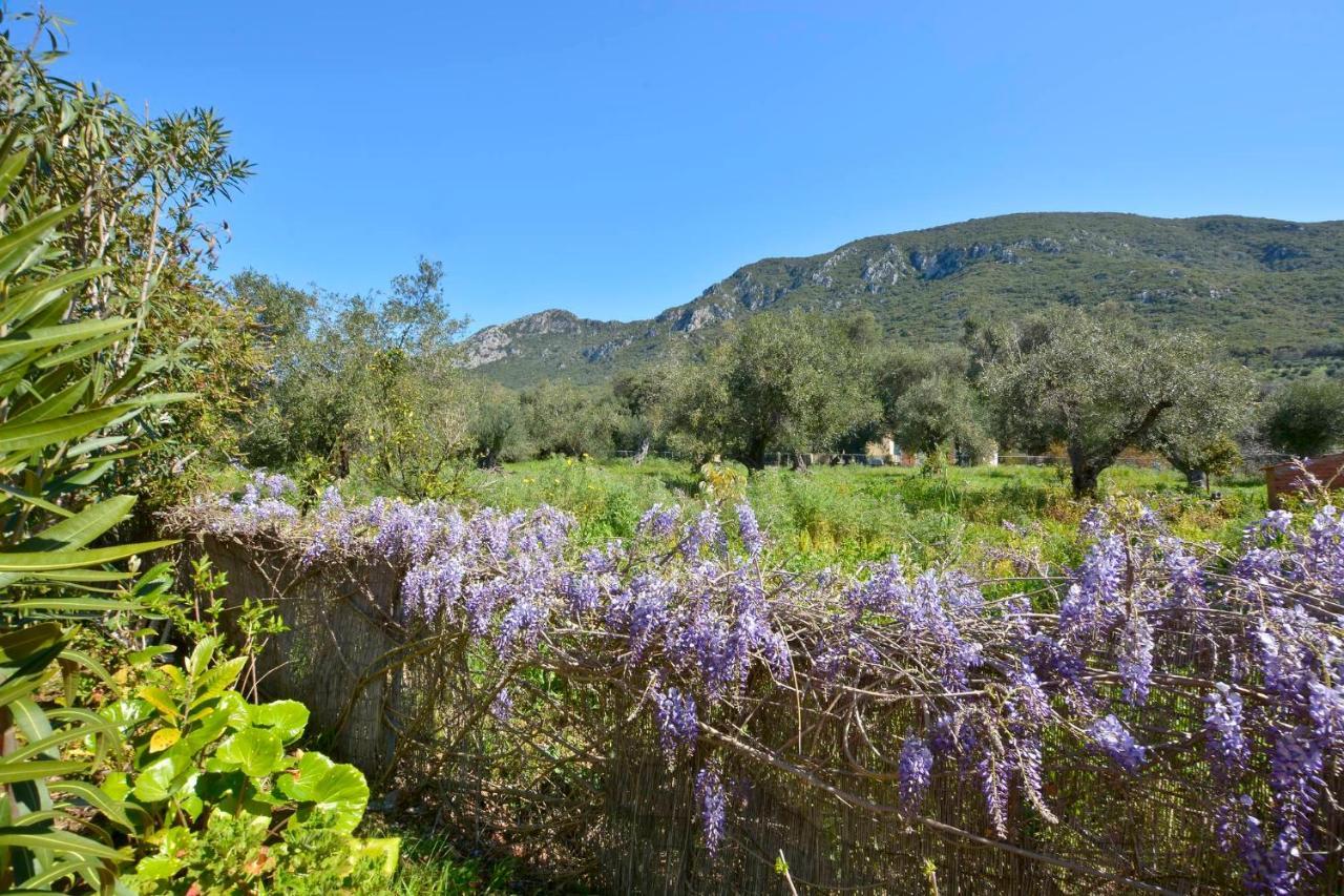 Maria Apartment Agios Matthaios  Luaran gambar